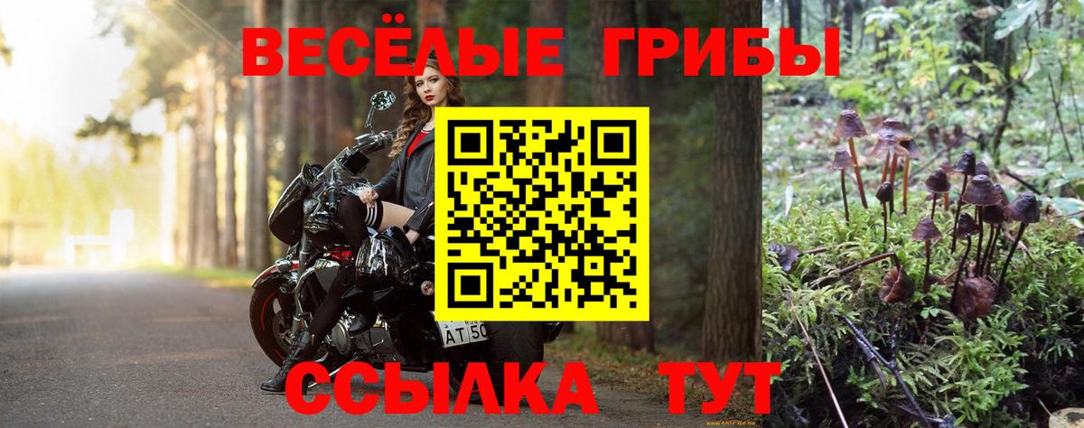 Галлюциногенные грибы мицелий  Вход с VPN  Псилоцибиновые грибы ЛСД  Котельники 