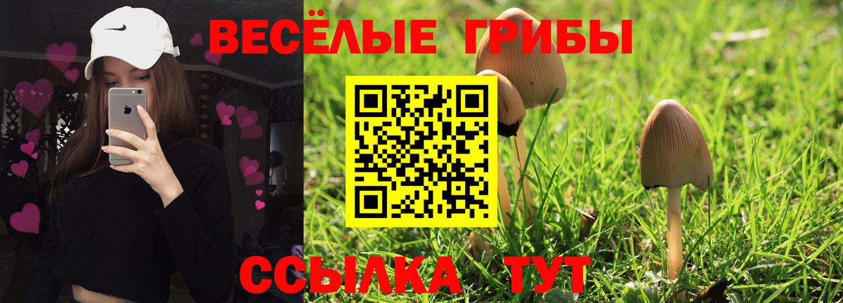 Псилоцибиновые грибы GOLDEN TEACHER Котельники